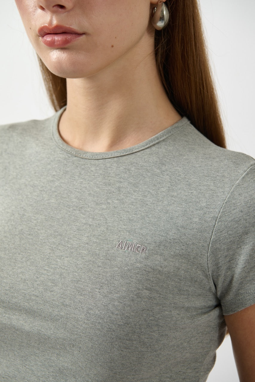 AIMER Core Essential - Ivy Slim Fit T-Shirt in Grey